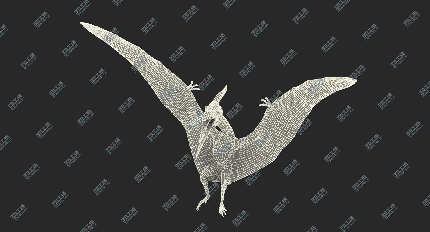 images/goods_img/202105072/Pteranodon Landing Pose 3D model/4.jpg